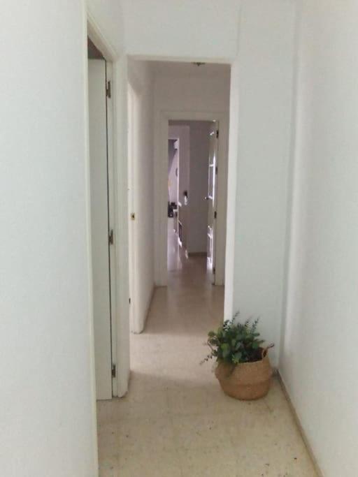Apartamento Plaza Toros Seville Exterior photo